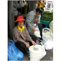 flower sellers-600.jpg